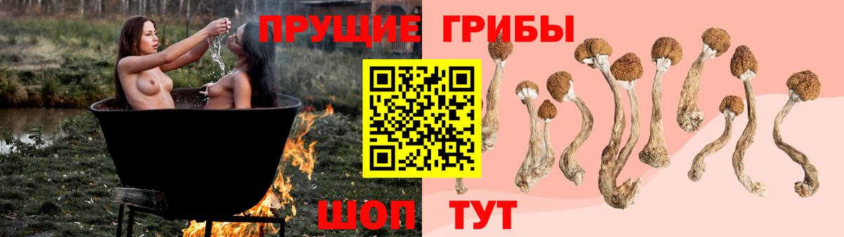 Галлюциногенные грибы MAGIC MUSHROOMS Заводоуковск